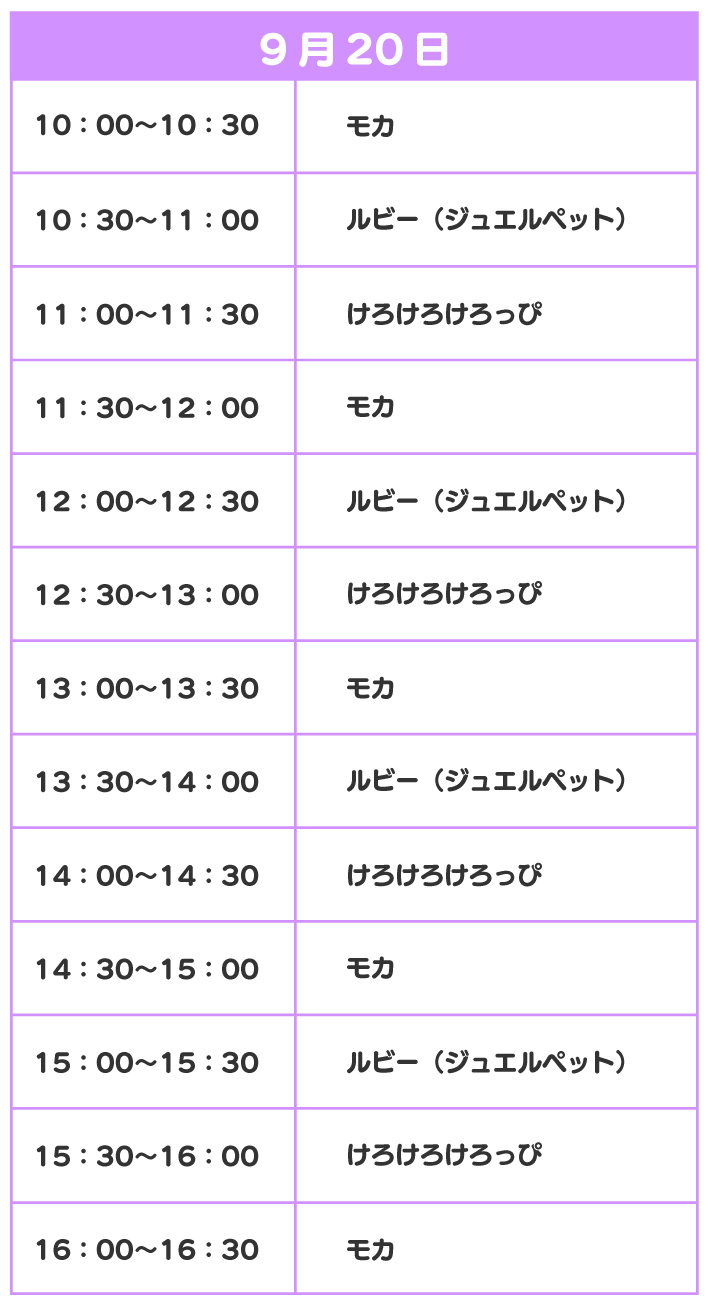 スケジュール