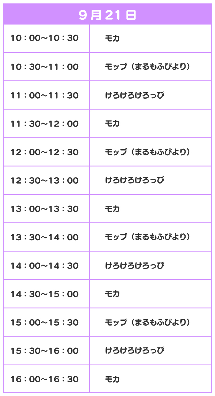 スケジュール