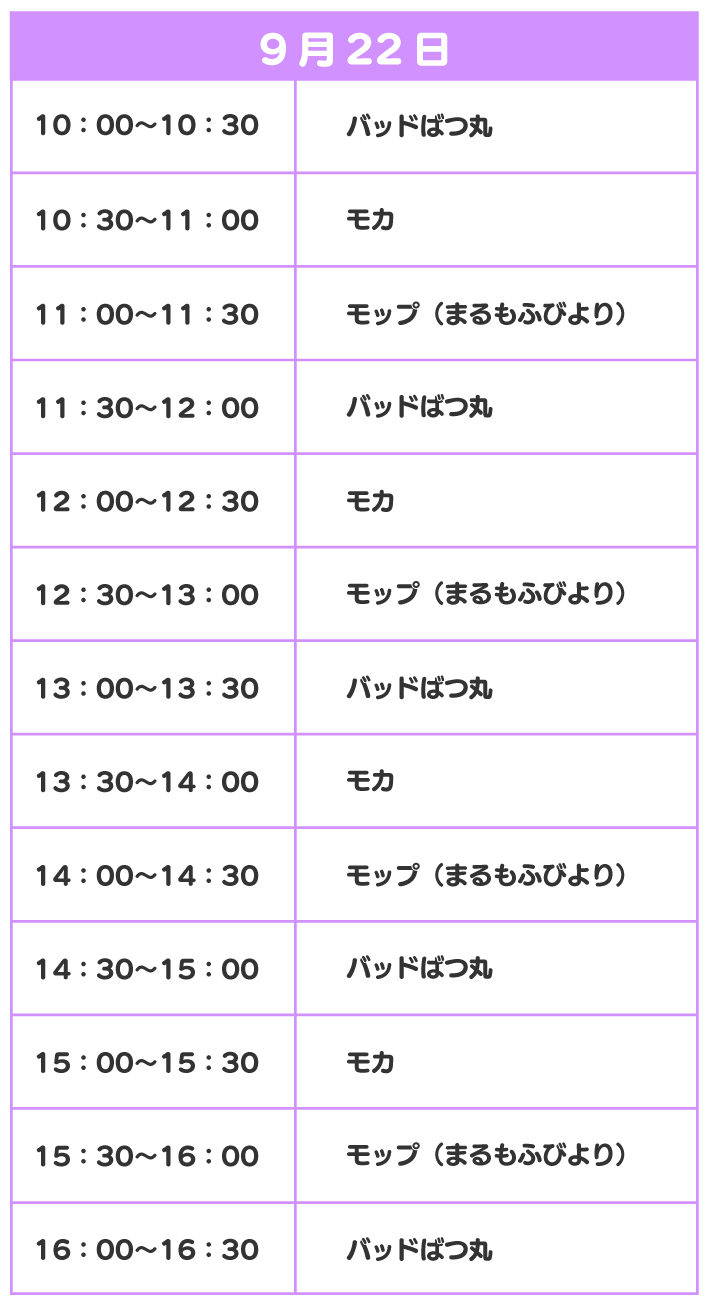 スケジュール
