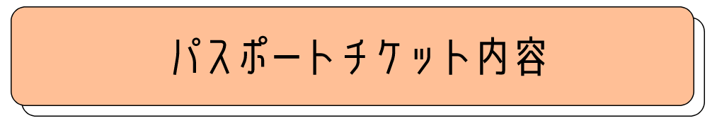 パスポートチケット内容