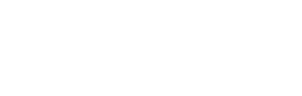 入園とアトラクション利用付き(※一部有料アトラクション有り)