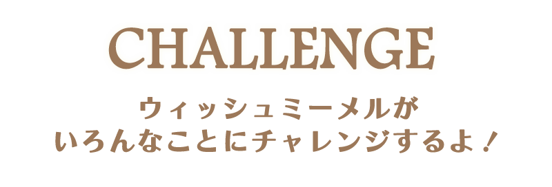 CHALLENGE