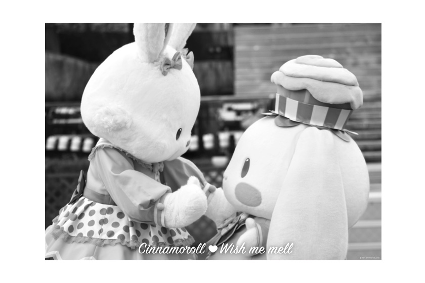 サンリオ　マスキングテープ　まとめ売り　シナモロール　ウィッシュミーメル シナモロール♥ウィッシュミーメル マスキングテープ｜ショップ